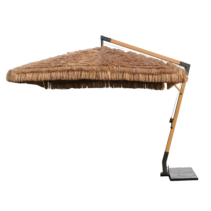 Umbrella Hair Grass